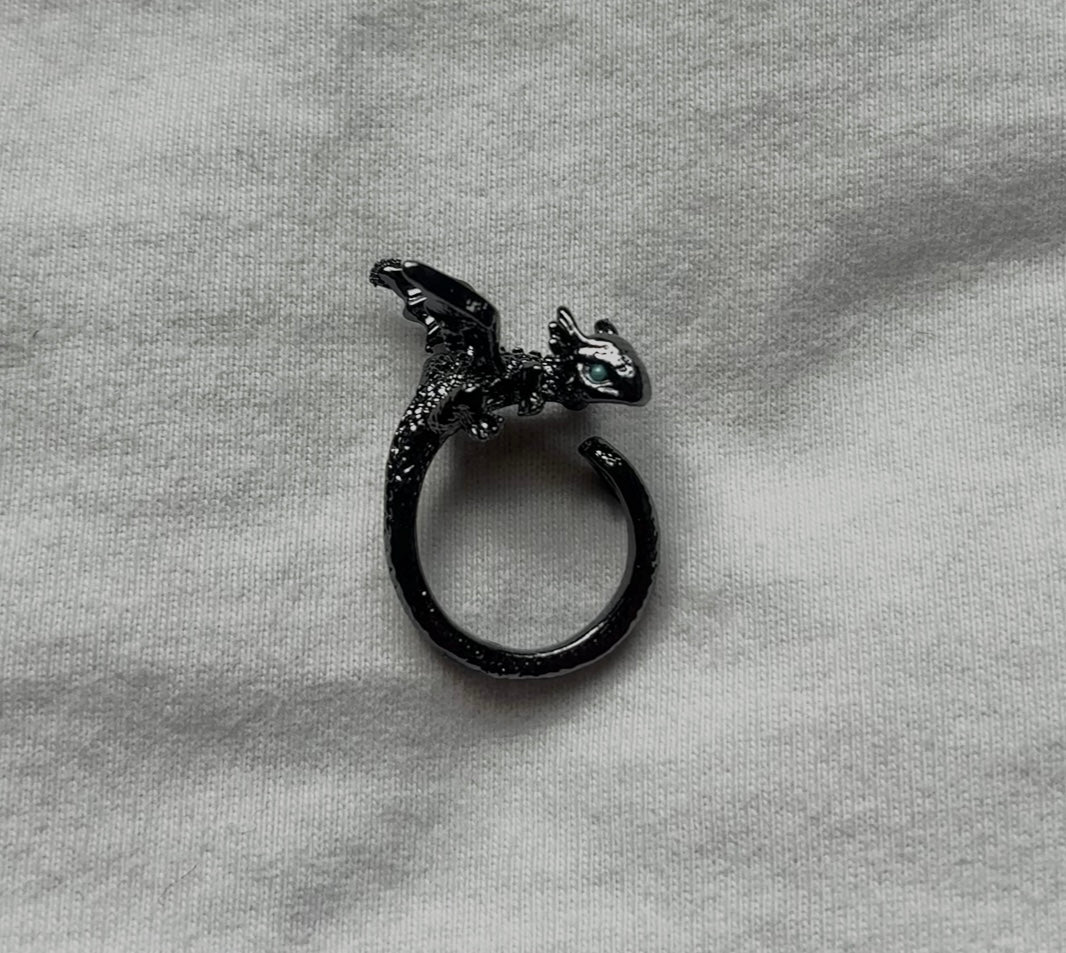Toothless & Light Fury Couple Rings